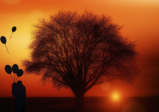 tree-1894217_640