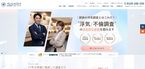 総合調査テラスエージェント